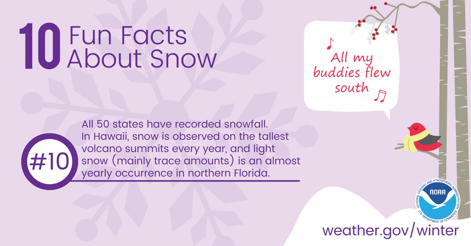 10 Fun Facts About Snow: #10. All 50 states have recorded snowfall. In Hawaii, snow is observed on the tallest volcano summits every year, and light snow (mainly trace amounts) is an almost yearly occurrence in northern Florida.